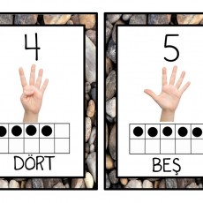 Sayı Öğrenme Kartı: 5 (BEŞ) ve 4 (DÖRT)