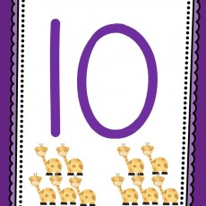 Sayı ve Hayvanlar: 10 (On) Gergedan Resmi ile Sayma