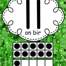 11 on bir - Sayılar ve Temel Matematik Eğitimi