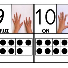 Sayı Öğrenme Kartları: 10 (ON) ve 9 (DOKUZ) Sayıları