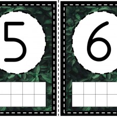 Eğitici Matematik Kartları: 5 ve 6 Sayıları ile Temel Sayma Aktiviteleri