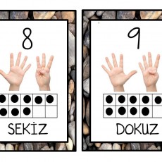 8 ve 9 Sayılarının Öğretimi: Sekiz ve Dokuzları Öğreniyoruz
