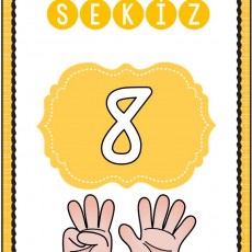 SEKİZ - 8: Eğitim Materyali