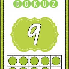 Dokuz (9) Sayısı ve Temsili Eğitimi