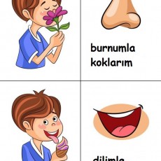 Duyular ve Organlar: Burun ile Koklama, Dil ile Tadma Eğitimi