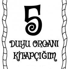 5 Duyu Organi Kitapçığım - Eğitsel Materyal