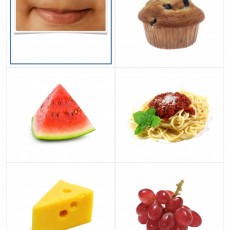 Mouth, Blueberry Muffin, Watermelon, Spaghetti with Sauce, Cheese, Grapes - Food and Facial Features Learning Material