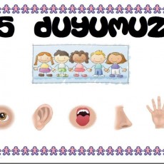 5 Duyumuz - Elle, Ağızla, Kulakla, Gözle Hissediş Eğitimi