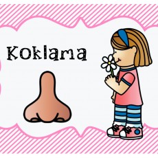Koklama İle İlgili Eğitim Materyali: Kız Çocuk, Çiçek ve Burun İllüstrasyonu