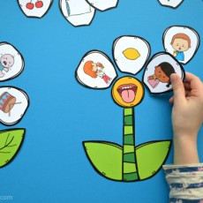 Eğitici Etkileşimli Çiçek Grafiği - Nesneleri Yerleştirme Etkinliği