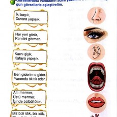 Bilmeceler ve Cevapları: Varlıkların Tanımları ve İlişkileri