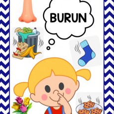Burun ve Koku Tanıma Etkinliği - 1, BURUN (B: sesli, S: sessiz; R: sessiz, N: sessiz), Çocuk Görseli, Çöp Kutusu, Çiçekler, Çorap, Kurabiye