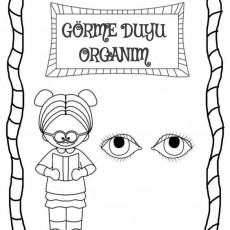 Görme Duyusu Organım | Gözler ve İnsan Figürü Etiketleme