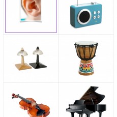 Duyular ve Müzik: Kulak, Radyo, Masa Lambası, Davul, Keman, Piyano - İşitme ve Müzikal Öğeler