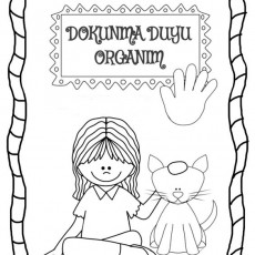 DOKUNMA DUYU ORGANIM - 1 Kız Çocuk ve 1 Kedi İllüstrasyonu