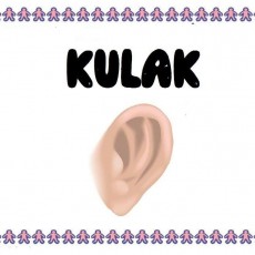KULAK_3.kelime_ve_beden_hissi_öğretimi