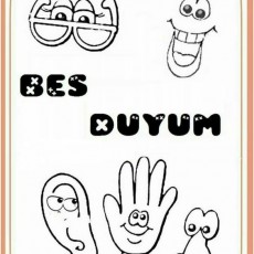 Beş Duyum Eğitimi: Eğlenceli Karakterler ile Duyuların Tanıtımı