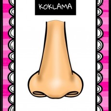 KOKLAMA- Burun Resmi