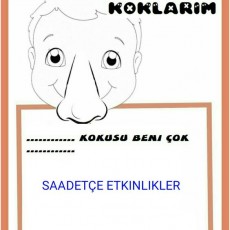BURUN HİSSETME ETKİNLİKLERİ - KOKULARI TANIYALIM