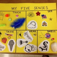 MY FIVE SENSES: An Educational Chart Demonstrating Visual, Auditory, Olfactory, Tactile, and Gustatory Experiences