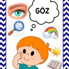 Göz Eğitimi: Görme Duyusu ve Renkler