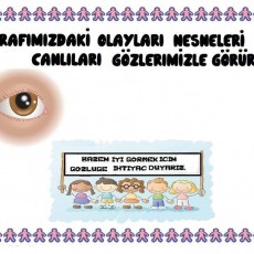Etrafımızdaki Nesneleri Gözlemleme Eğitici Materyali