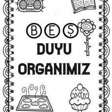 BEŞ DUYU ORGANIMIZ Eğitici Materyali