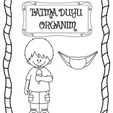 Tatma Duyusu Organım - Eğitim Materyali