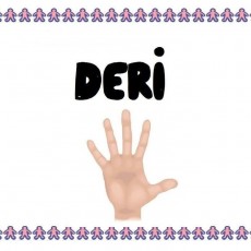 5 NUMARALI DERİ KAVRAMI VE EL GÖRSELİ