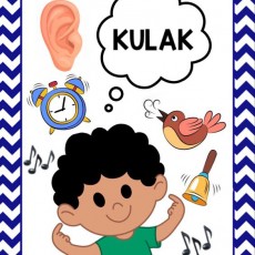 Kulak: İşitme, Sesler ve Duyular Temalı Eğitim Materyali