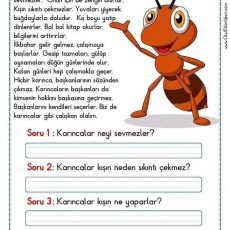 Karıncalar: Çalışkan Hayvanların Eğitici Özellikleri ve Davranışları