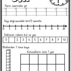 Bir - Sayılar ve Temel Matematik Eğitimi