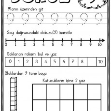 Dokuz Sayısı ve Temel Matematik Eğitimi: 9'un Tanıtımı ve Uygulamaları