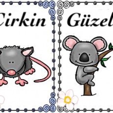 Güzel ve Çirkin: Koala ve Fare İllüstrasyonları