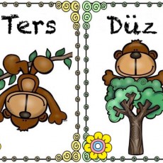 Düz ve Ters Kavramları: Çizgi Çizimlerle Eğlenceli Öğrenme