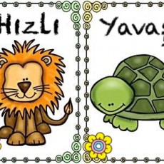 Hayvanlar ve Hız Konusu: Yavaş Kaplumbağa ve Hızlı Aslan