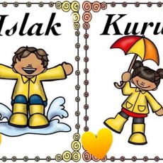 Kuru ve Islak: Su Temaslı Öğrenme Kartları