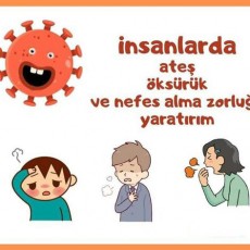 Covid-19 Belirtileri: Ateş, Öksürük ve Nefes Alma Zorluğu İle İlgili Eğitsel Görsel