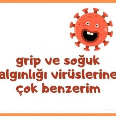 Grip ve Soğuk Algınlığı Virüsleri İle Benzerlik Konulu Eğitici Materyal