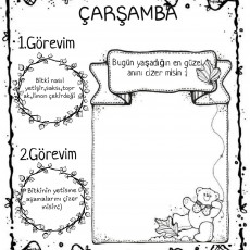ÇARŞAMBA_Görevler_Bitki_Yetiştirme_Aktivite