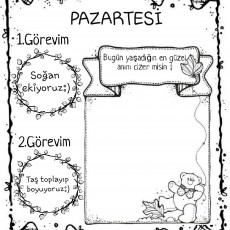 Pazartesi Görevleri: Soğan Ekim ve Taş Boyama Etkinlikleri