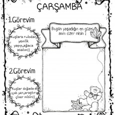 ÇARŞAMBA-Görevler-Kuşlar-Çizim ve Araştırma-4.hafta