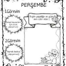 PERŞEMBE_Görev_Raporu_Sokak_Hayvanları_ve_Yapraktan_Baskı