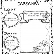 ÇARŞAMBA_Görevler_ve_Anı_Cizim_1. haftam
