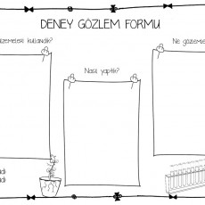 Deney Gözlem Formu: Bilimsel Gözlem ve Deney Raporu