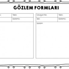 Gözlem Formları - Eğitim Materyali