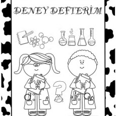 Deney Defterim: Bilim ve Deneyler İçin Eğitici Çizim Materyali