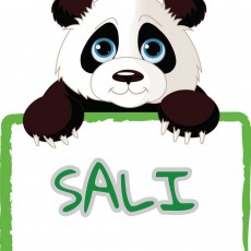 Panda ile Sali Günleri Eğitimi