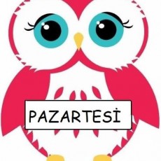 Pazartesi Vizyona Sahip Baykuş Karakteri
