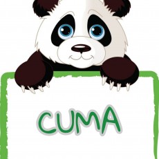 Eğlenceli Panda Karikatürü ile Cuma Günü Öğretimi
